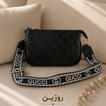 کیف روژین